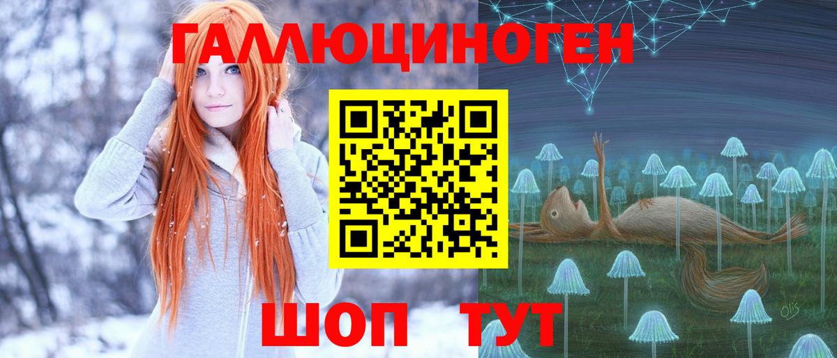 Псилоцибиновые грибы Cubensis Белгород